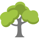 Longview Tree Removal