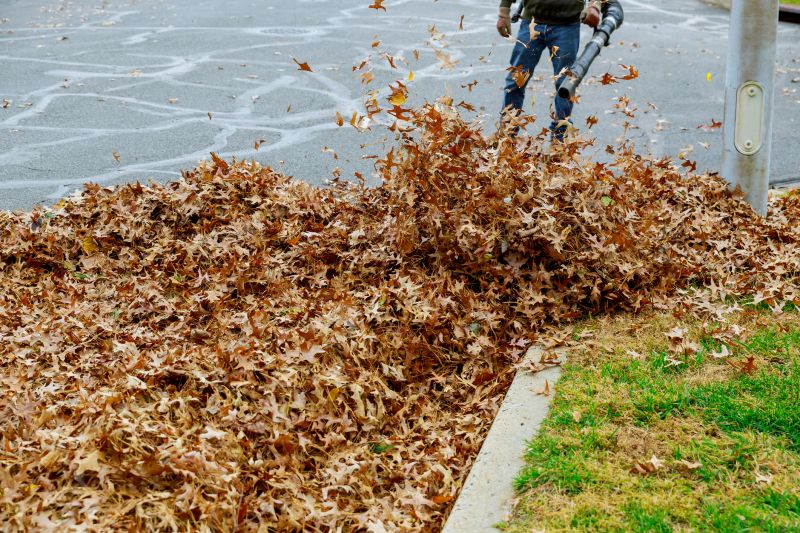 Professional Leaf Services