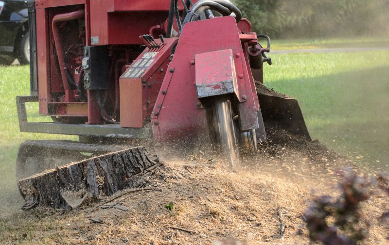 Tree Stump Grinding Process